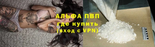 молекула духа Михайловск
