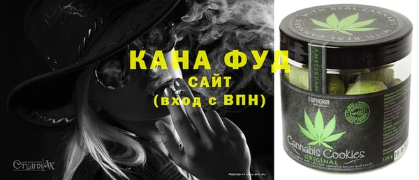 молекула духа Михайловск