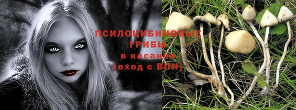 молекула духа Михайловск